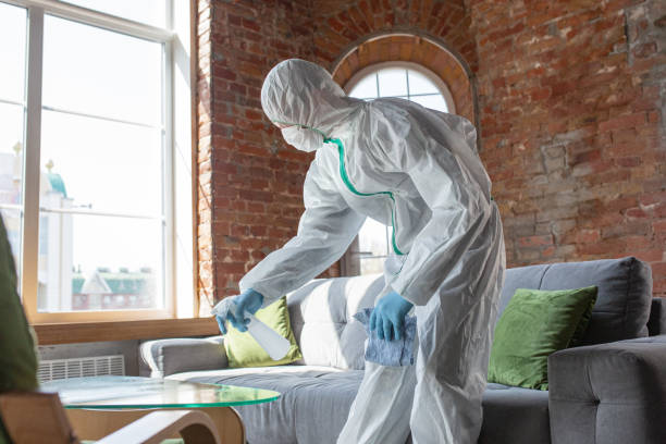 Ridgemark, CA Mold Removal Services Company